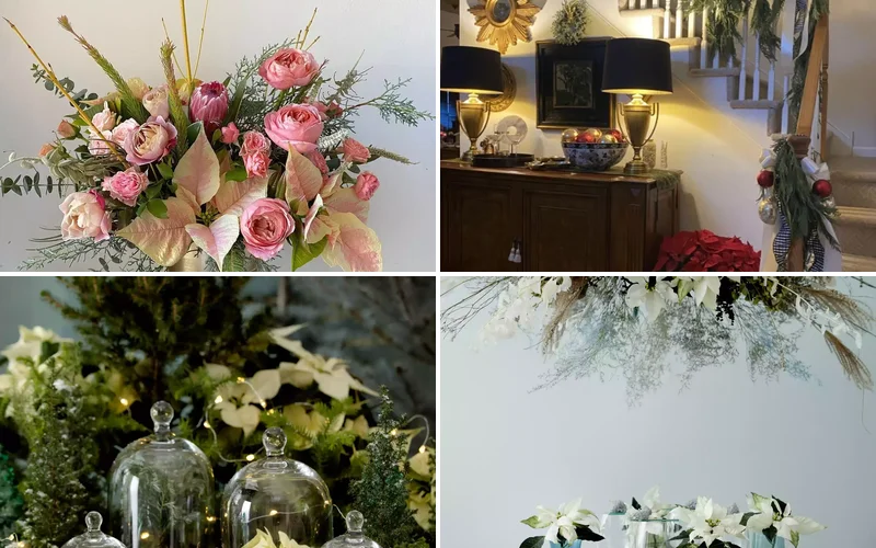 21 Stunning Poinsettia Display Ideas to Transform Your Holiday Home