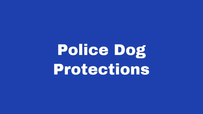 Dog Laws in South Carolina (2026): Rules Every Owner Must Follow 3 Police Dog Protections