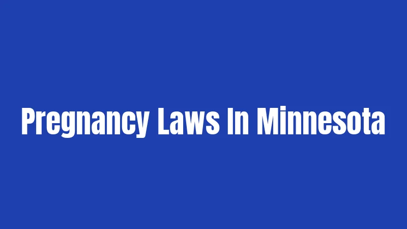 Pregnancy Laws In Minnesota
