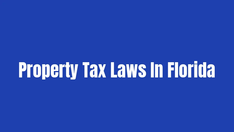 Property Tax Laws In Florida
