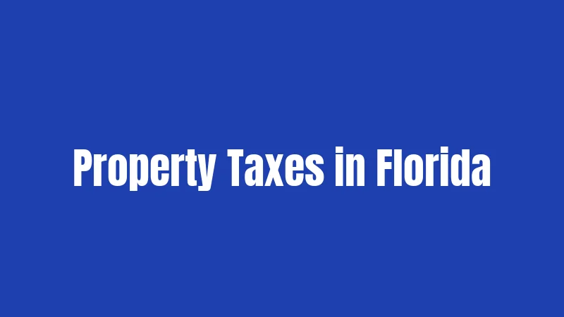Property Taxes in Florida