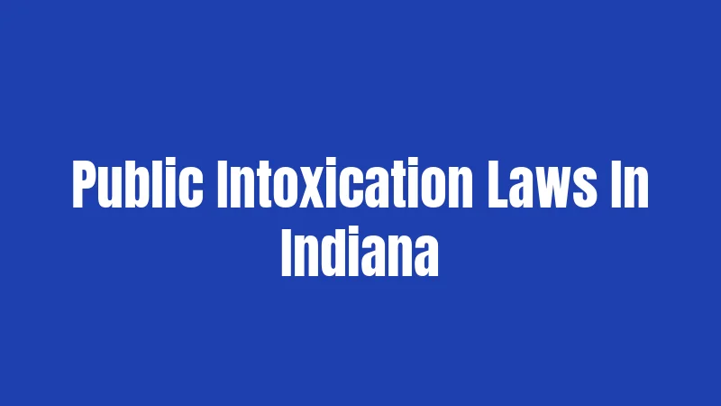 Public Intoxication Laws In Indiana