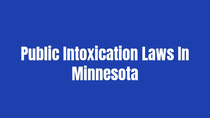 Public Intoxication Laws In Minnesota