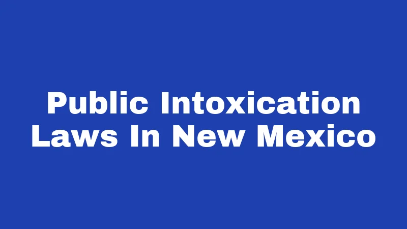 Public Intoxication Laws in New Mexico (2026): The Surprising Truth About Being Drunk in Public 71 Public Intoxication Laws In New Mexico