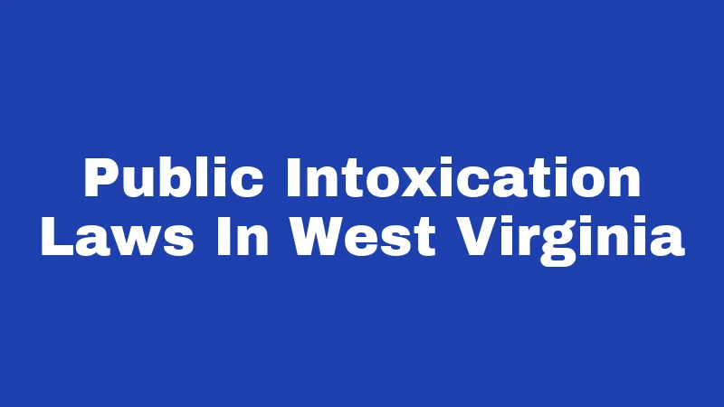 Public Intoxication Laws In West Virginia