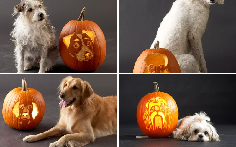 23 Canine Pumpkin Carving Templates That Are Free & Fun 16 23 Canine Pumpkin Carving Templates That Are Free & Fun