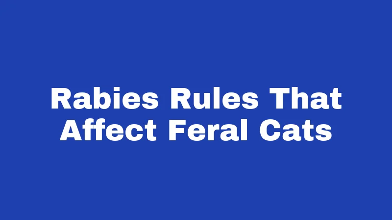 Feral Cat Laws in Oklahoma (2026): Rules Every Resident Should Know 2 Rabies Rules That Affect Feral Cats