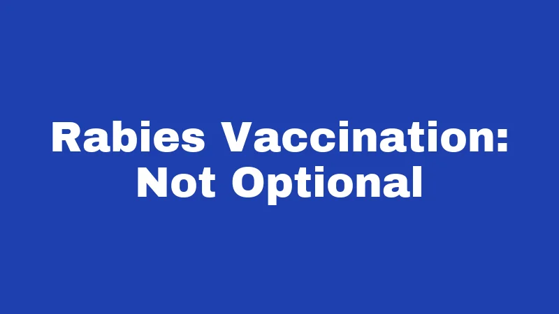 Dog Laws in Kentucky (2026): Rules Every Owner Must Know 1 Rabies Vaccination: Not Optional
