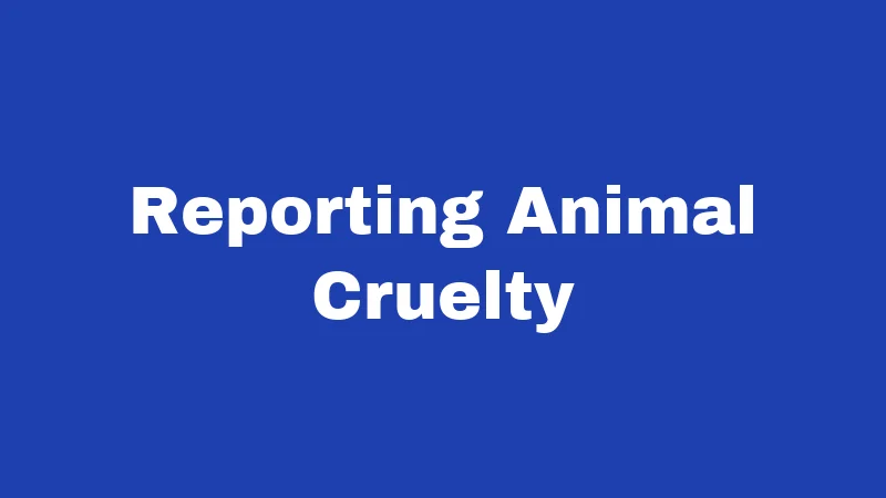 Feral Cat Laws in Oklahoma (2026): Rules Every Resident Should Know 5 Reporting Animal Cruelty