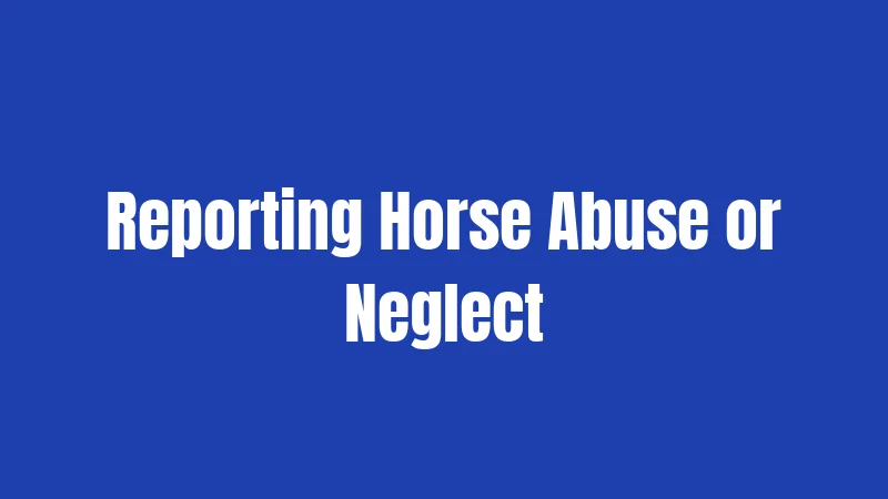 Reporting Horse Abuse or Neglect