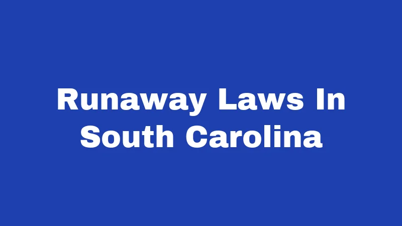 Runaway Laws in South Carolina (2026): Rules Every Family Should Know 361 Runaway Laws In South Carolina