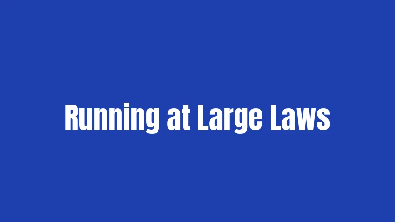 Running at Large Laws
