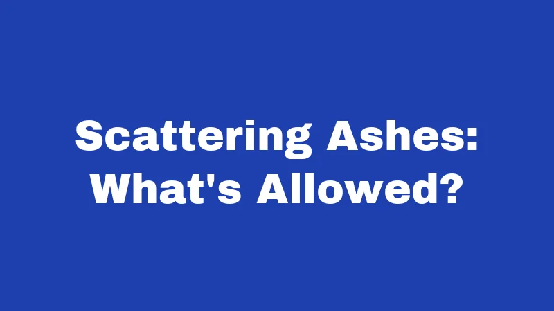 Burial Laws in Nevada (2026): Rules Every Family Should Know 5 Scattering Ashes: What's Allowed?