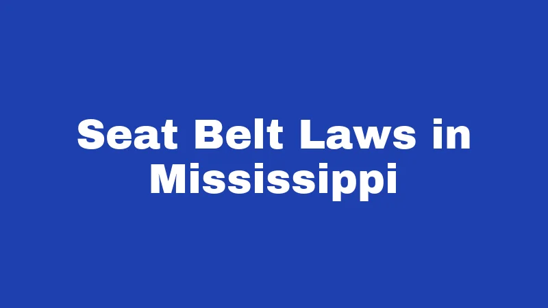Driving Laws in Mississippi (2026): Rules Every Driver Must Know 3 Seat Belt Laws in Mississippi