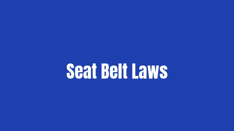 Seat Belt Laws