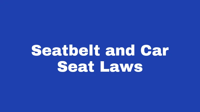Seatbelt and Car Seat Laws