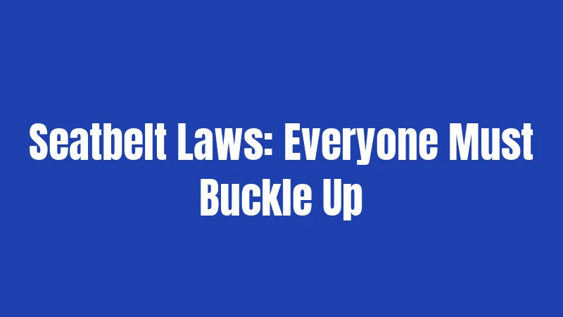 Seatbelt Laws: Everyone Must Buckle Up