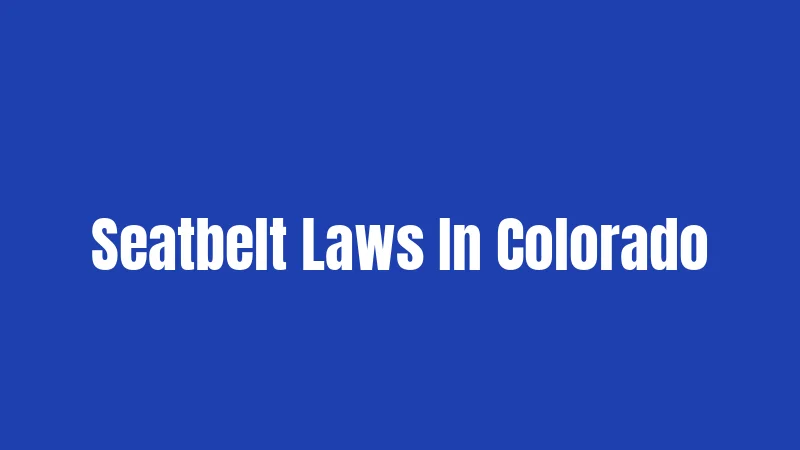 Seatbelt Laws In Colorado