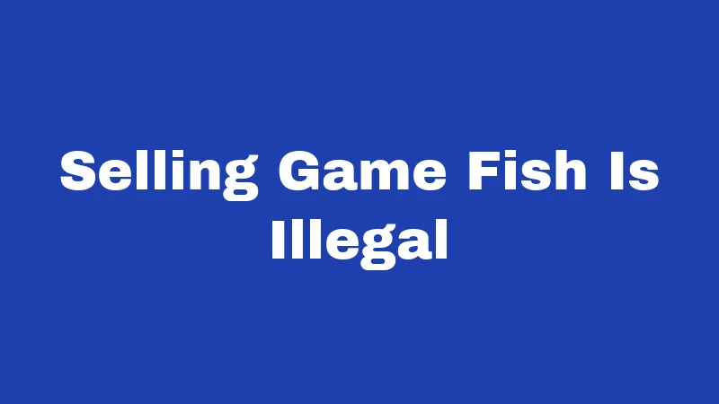 Selling Game Fish Is Illegal