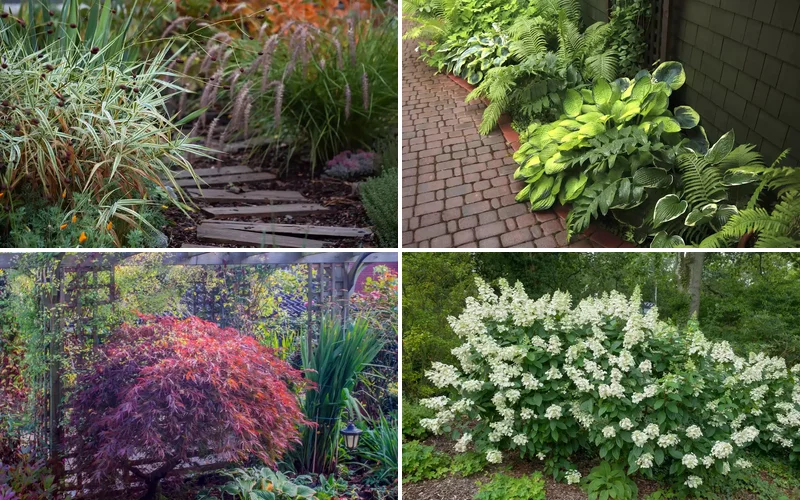 shade garden ideas featured