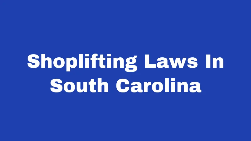 Shoplifting Laws in South Carolina (2026): Penalties That May Shock You 372 Shoplifting Laws In South Carolina