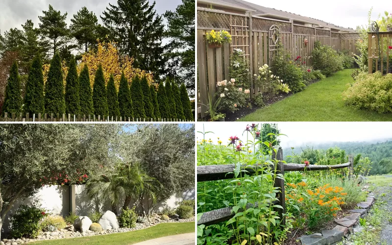 simple fence line landscaping ideas featured