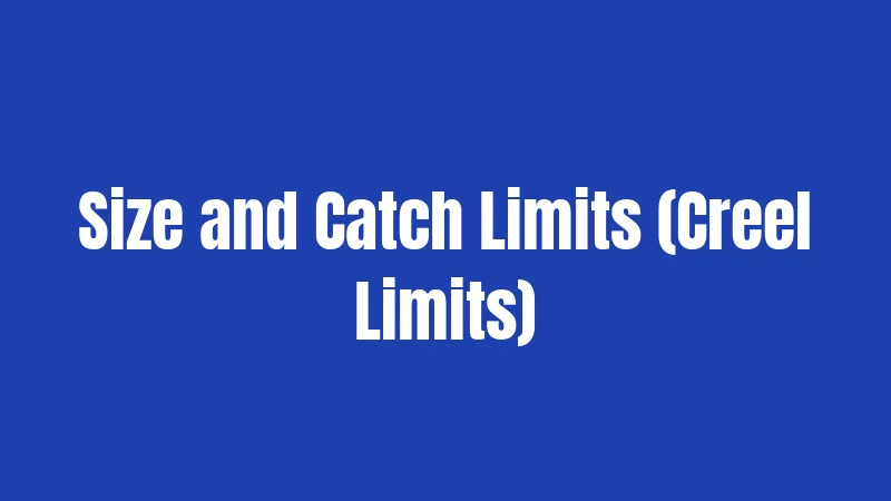 Size and Catch Limits (Creel Limits)