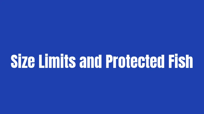 Size Limits and Protected Fish