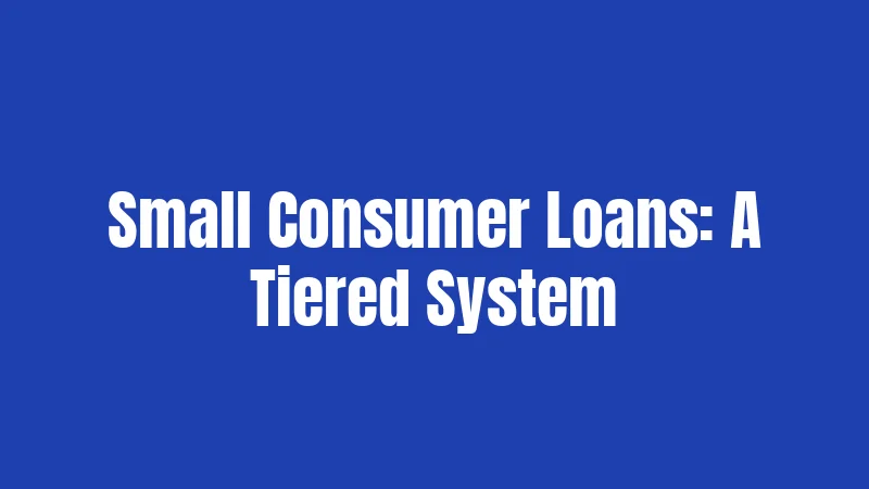 Small Consumer Loans: A Tiered System