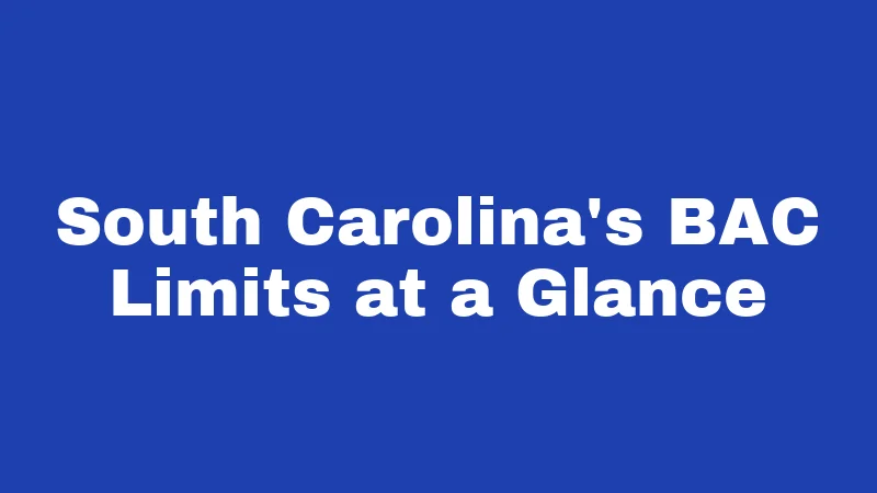 South Carolina's BAC Limits at a Glance