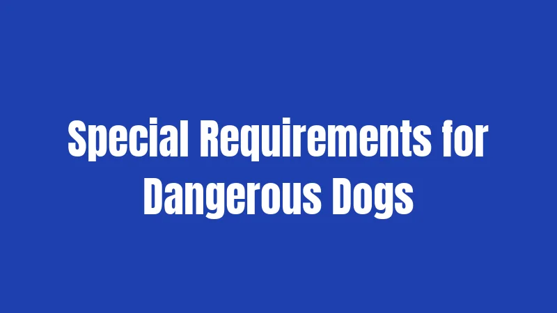 Special Requirements for Dangerous Dogs