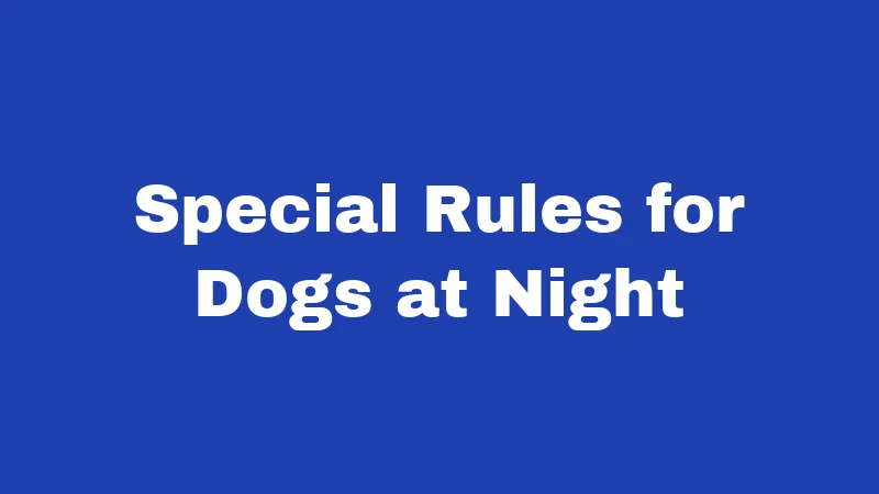 Special Rules for Dogs at Night