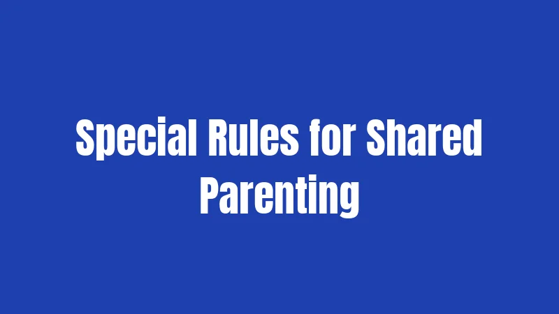 Custody Laws in Ohio (2026): Rules Every Parent Should Know 3 Special Rules for Shared Parenting