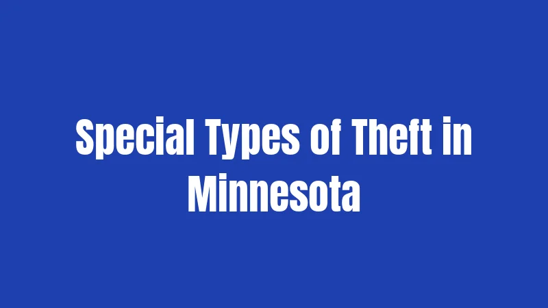 Special Types of Theft in Minnesota