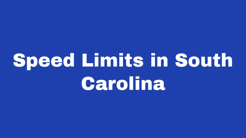 Speed Limits in South Carolina