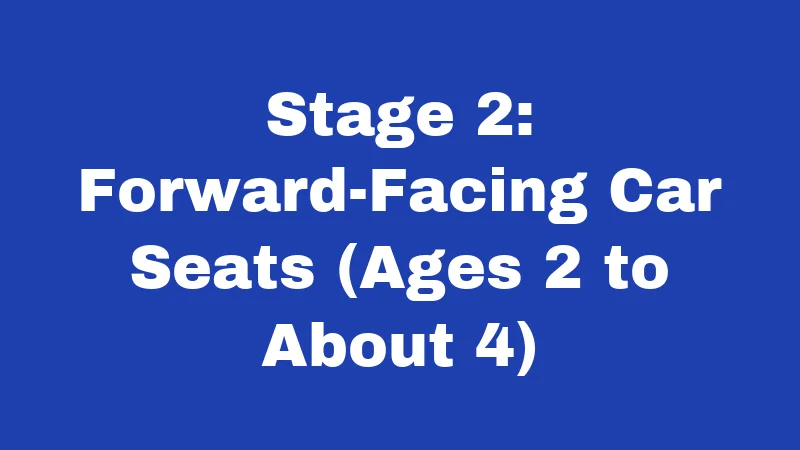 Stage 2: Forward-Facing Car Seats (Ages 2 to About 4)