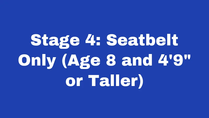 Stage 4: Seatbelt Only (Age 8 and 4'9