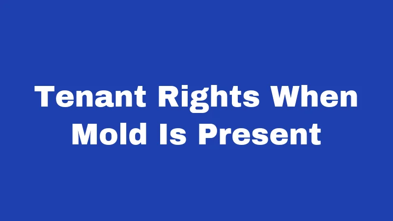 Tenant Rights When Mold Is Present