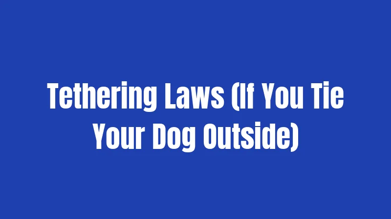 Tethering Laws (If You Tie Your Dog Outside)