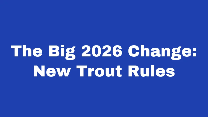 Fishing Laws in Connecticut (2026): Rules Every Angler Must Know 3 The Big 2026 Change: New Trout Rules