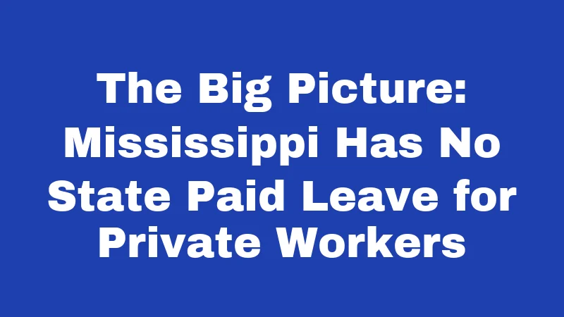 Maternity Leave Laws in Mississippi (2026): What New Moms Actually Get 1 The Big Picture: Mississippi Has No State Paid Leave for Private Workers