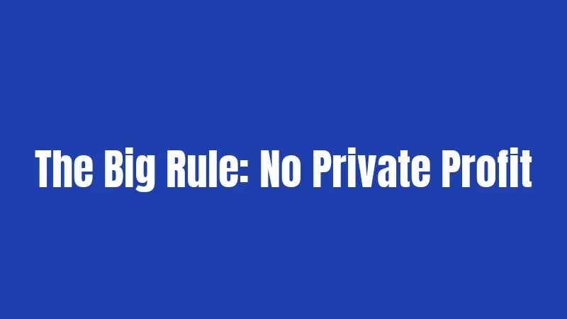 The Big Rule: No Private Profit