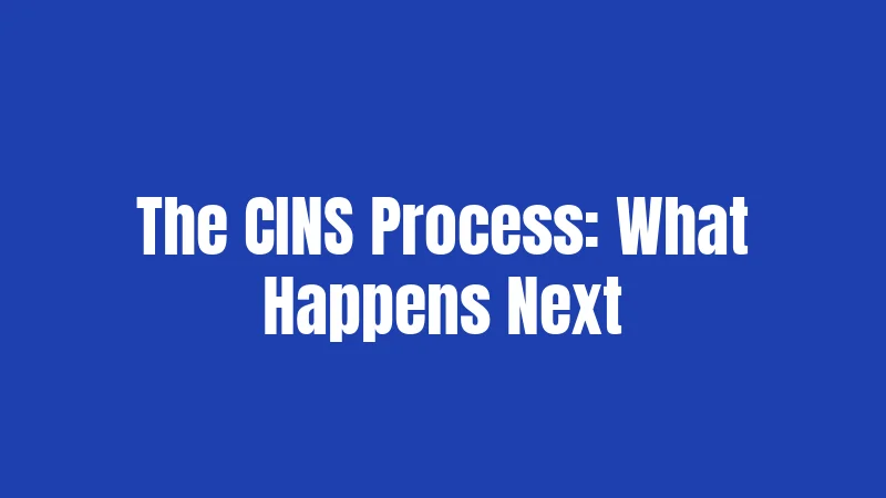 The CINS Process: What Happens Next