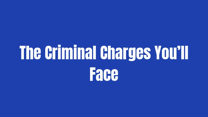 The Criminal Charges You’ll Face