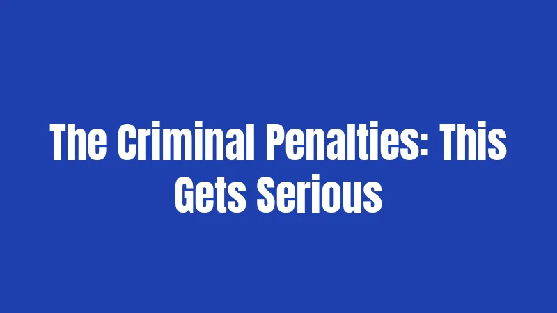 The Criminal Penalties: This Gets Serious