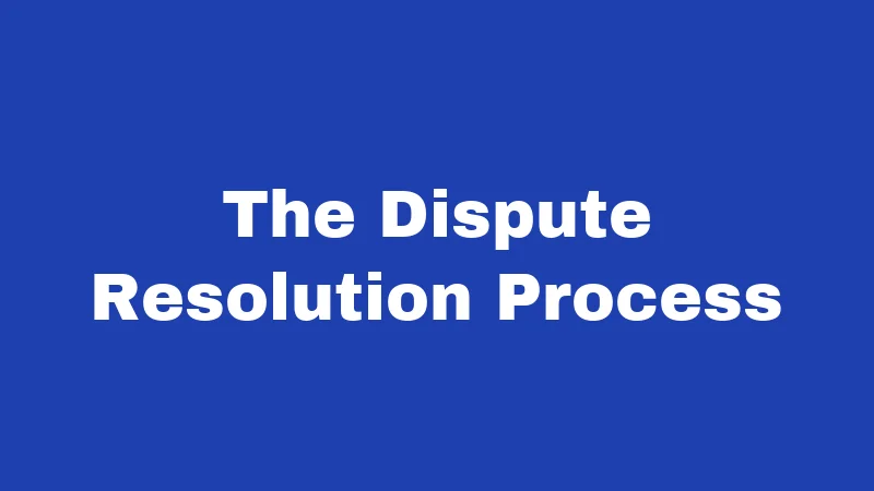 The Dispute Resolution Process