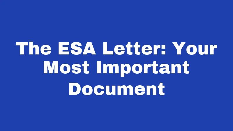 The ESA Letter: Your Most Important Document
