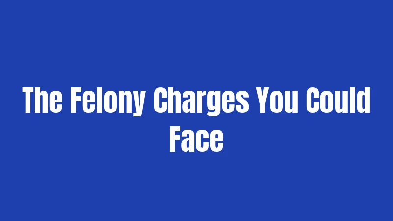 The Felony Charges You Could Face