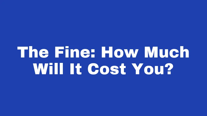 The Fine: How Much Will It Cost You?