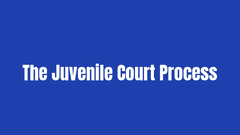 The Juvenile Court Process